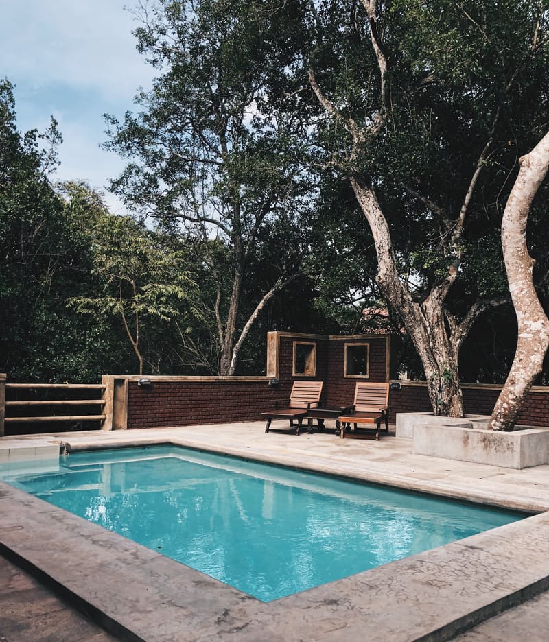 Backyard swimming pool